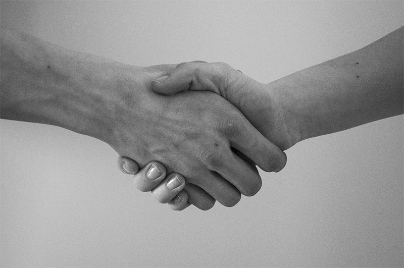 linee guida rapporto pa terzo settore stretta di mano